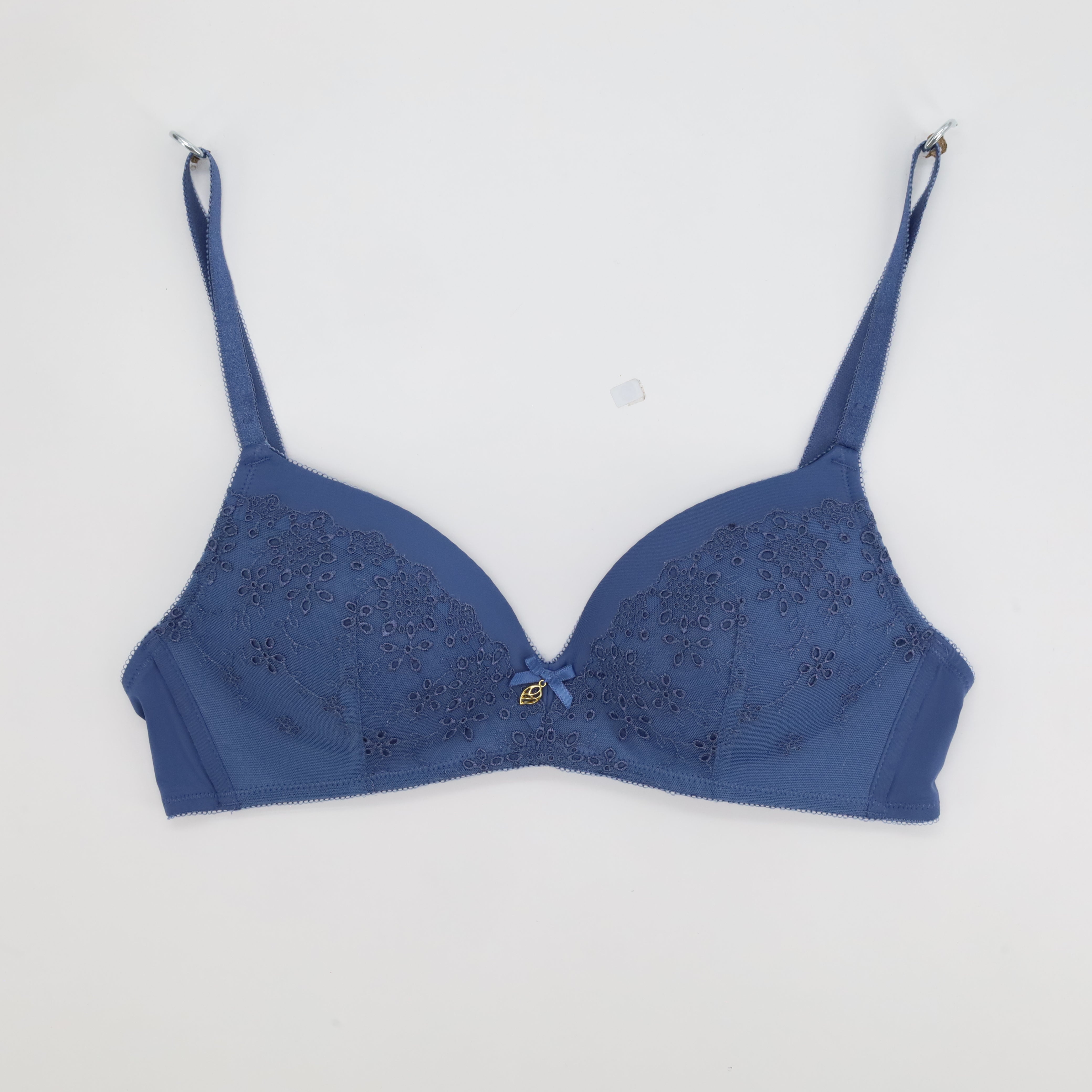 Triangle Bleu