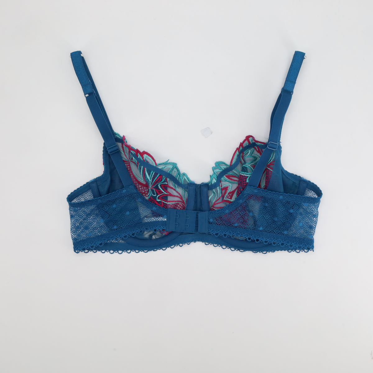Soutien-gorge RougeGorge Bleu